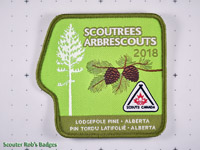 Click to enlarge 2018 Scoutrees